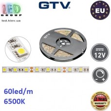 Світлодіодна стрічка GTV, 12V, SMD 5050, 60 led/m, 14.4W, 6500K - білий холодний, Premium. Гарантія - 24 місяці