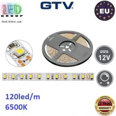 Світлодіодна стрічка GTV, 12V, SMD 2835, 120 led/m, 19W, 6500K - білий холодний, Premium. Гарантія - 24 місяці