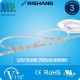 Світлодіодна стрічка RISHANG, 12V, SMD 2835, 120 led/m, 9.6W, IP20 (IP33), 6000K - білий холодний, VIP. Гарантія - 3 роки