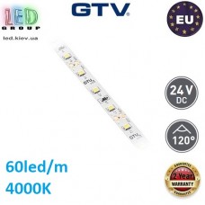 Світлодіодна стрічка GTV, 24V, SMD 2835, 60 led/m, 8мм, 9.6W, 780Lm, 4000K - білий нейтральний, Premium. Гарантія - 24 місяці