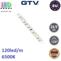 Світлодіодна стрічка GTV, 24V, SMD 2835, 120 led/m, 10мм, 15.6W, 1350Lm, 6500K - білий холодний, Premium. Гарантія - 24 місяці