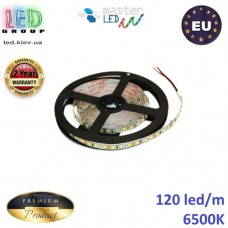 Светодиодная лента master LED, 12V, SMD 2835, 120 led/m, IP20, 1080Lm, 6500К - белый холодный, Premium. Гарантия - 2 года